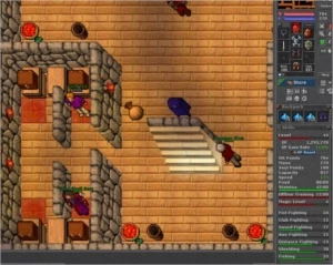 TIBIA CHAR + MONEY