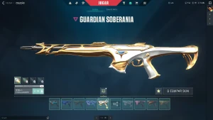 R$3000 Em Skins + Pacote Champions 2022 E Vandal Champions - Valorant