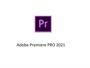  [conteúdo removido]  Pro 2021 - Ativado Permanente - Softwares and Licenses