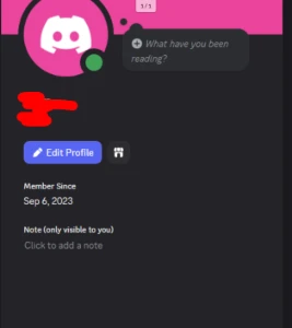 Conta Discord Nick 3 Caracteres Repetidos Oge - Redes Sociais