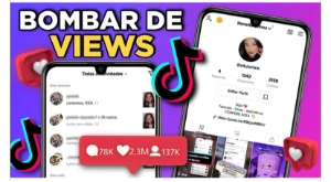 Seguidores Tiktok - Outros