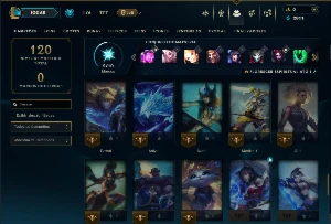 Platina 4 com 65 Champs e 15 Skins - League of Legends LOL