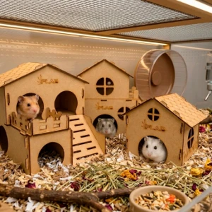 Kit 3 Casinhas Premium para Hamster - Flap Pet - Artesanato e Personalizados