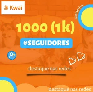 1000 seguidores kwai - Redes Sociais