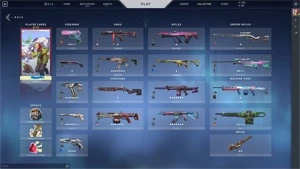 Conta valorant, varias skins