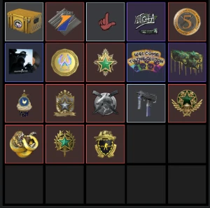 Conta Lv105 Steam, 80 Jogos, 11 Medalhas, 10 Anos De Serviço