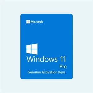 Windows 11 pro key Licença vitalícia chave - Outros