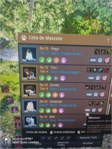 conta black desert  Sa