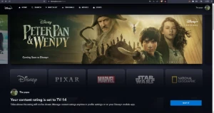Pack De Contas Disney+ Plus - Assinaturas e Premium