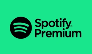 Spotify Premium (30 Dias)