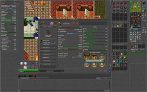 CONTA COM VARIOS CHARES. LVL 310 EK .    RP .lvl 182.etc. - Tibia