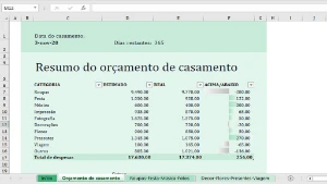 Planilha orçamento de casamento - Outros