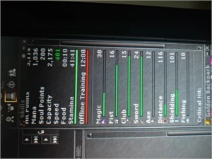 Royal Paladin level 300 (LOBERA) - Tibia
