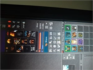 Royal Paladin level 300 (LOBERA) - Tibia