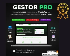 Promoção - Gestor Pro - Sistema De Cobranças - 2024 - Softwares and Licenses