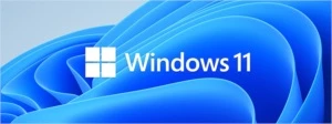 Windows 11 - Softwares e Licenças