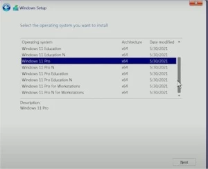 Windows 11 - Softwares e Licenças