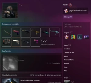 CONTA CSGO PRIME │ COM FACA STILETTO E DIVERSAS SKINS │ 1K H - Counter Strike
