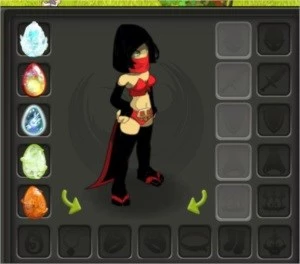 CONTA DOFUS TOUCH - SRAM NVL 200