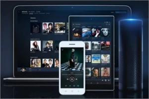 AMAZON MUSIC UNLIMITED 30 DIAS - Assinaturas e Premium