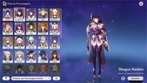 CONTA GENSHIM AR 13 RAIDEN + AYAKA + XIAO + CHILD - Genshin Impact