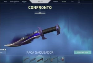 Conta valorant 1038 reais gastos