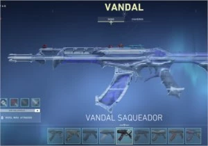 Conta valorant 1038 reais gastos