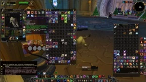 Acc com druida feral e pala Retri wow brasil - Blizzard