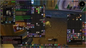 Acc com druida feral e pala Retri wow brasil - Blizzard