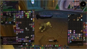 Acc com druida feral e pala Retri wow brasil - Blizzard