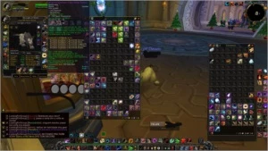 Acc com druida feral e pala Retri wow brasil - Blizzard