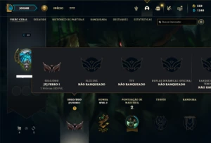 Ferro 1 com 26 Champs e 1 Skin - League of Legends LOL