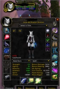 [WOW BRASIL 3.3.5] Shaman 6.4+ PVE - 6.1+ PVP! LEIA ANUNCIO - Blizzard