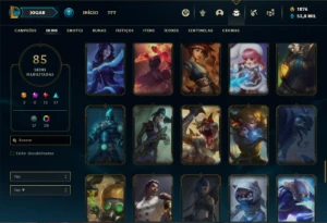 Conta Unranked com 90 Champs e 85 Skins ( MAIN SUP ) - League of Legends LOL