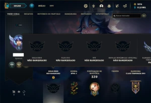 Conta Unranked com 90 Champs e 85 Skins ( MAIN SUP ) - League of Legends LOL