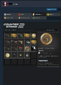 Conta Steam com insígnia de 9 anos de serviço e muito mais. - Counter Strike CS