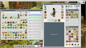 Conta Wakfu Servidor Rubilax 7 chars 180+