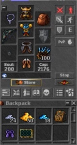 Paladinos lv137+ Ferobra 3 na mesma conta - Tibia