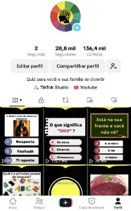 Conta tiktok monetizada - Outros