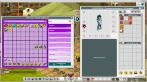 Conta Dofus e Wakfu