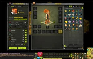 Conta Dofus e Wakfu