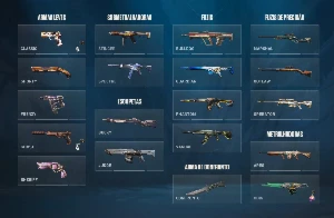 Conta valorant dima 3 várias skins