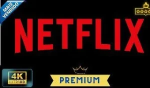 Tela privada Netflix - Assinaturas e Premium