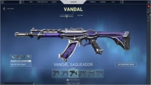 Conta Valorant