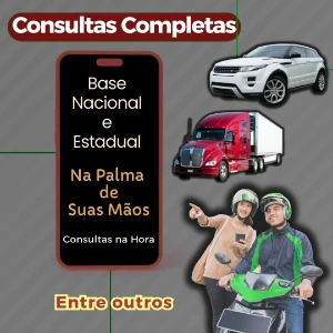Consulta Completa Veícular Base Nacional/Estadual - Digital Services