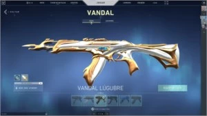 CONTA COM MAIS DE 25 SKINS | + DE R$800 GASTOS - Valorant