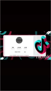 CONTA TIK TOK - Redes Sociais