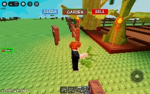 Grow A Garden Conta Com 1 Sunflower + Beanstalk Gold - Roblox
