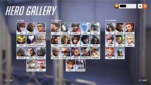 OW2 WIDOWMAKER NOIRE/WINSTON BLIZZCON 310+ skins - Blizzard