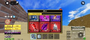 Conta de blox fruit - Roblox